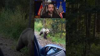 Man Tries to Feed a Grizzly BearInstantly Regrets It [upl. by Manno]