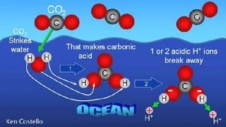 How Does Carbon Dioxide Enter Sea Water  Earth Science [upl. by Zilada251]