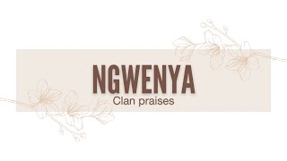 Ngwenya clan praises  Izithakazelo sakwaNgwenya  Tinanatelo takaNgwenya by Nomcebo The POET [upl. by Reteip]