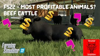 FS22  Most profitable animals part 6  Beef Cattle [upl. by Sisson]