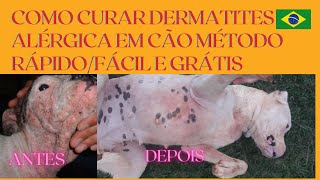 COMO CURAR DERMATITES ALÃ‰RGICA EM CÃƒES MÃ‰TODO RÃPIDO FÃCIL E GRATUITO [upl. by Nanny]