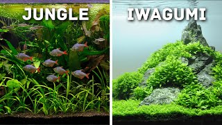 MustTry Aquascaping Styles for Your Planted Aquarium [upl. by Ociral]