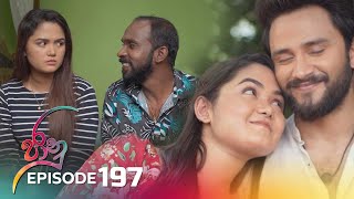 Jaanu  Episode 197  20231124  ITN [upl. by Gabler]