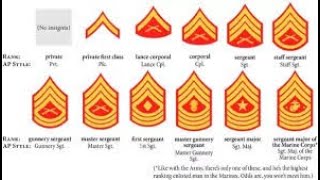 Easiest Way To Learn The Marine Corps Ranks  in 1 Day [upl. by Ragse]