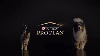 PURINA® PRO PLAN® Вибір надзвичайних власників для їхніх надзвичайних улюбленців [upl. by Yelyak]