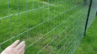 Loose Welded Wire Fence [upl. by Aholla]