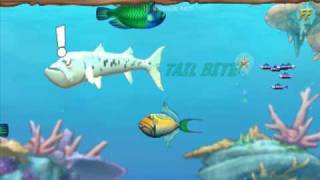 Lets Play Feeding Frenzy 2  03  Levels 911 No Commentary [upl. by Leuqer]