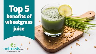 5 Important Benefits Of Wheatgrass Juice [upl. by Ylahtan498]