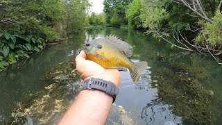 The Best Bluegill Bait that’s not Worms You’ll be Shocked [upl. by Avlasor]