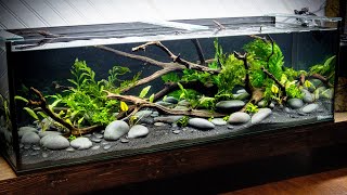 DIY STREAM Style Aquascape Low Tech [upl. by Oiceladni]