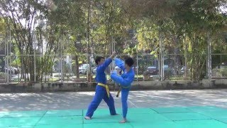 Song Luyện 1  Vovinam Việt Võ Đạo [upl. by Anayra]