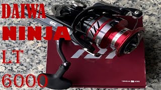 DAIWA ELECTRIC REEL  23 SEAPOWER [upl. by Dewar]