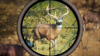 Hunting HUGE Whitetail DEER and TROPHY Elk in Hunter Call Of The Wild [upl. by Karena953]