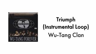 WuTang Clan  Triumph Instrumental Loop [upl. by Tehc]