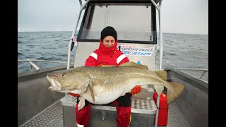 The biggest cod population in the world  A Camp Halibut Fishing film Torskfiske på Sørøya ENG SUBS [upl. by Heymann]