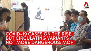 COVID19 infections in Singapore on the rise but circulating variants are not more dangerous MOH [upl. by Rosenstein864]