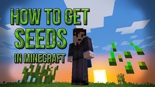 How To Get Seeds In Minecraft [upl. by Sum933]