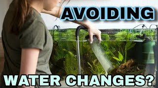 Do Aquariums Need Water Changes Filterless Deep Substrate Planted Tanks amp When to Change Water [upl. by Shanna]