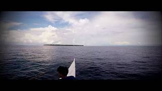 Snorkeling Balicasag 2017 Huge Sea Turtle [upl. by Venu]