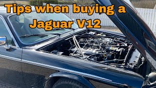 Jaguar V12  What to Look Out For [upl. by Flannery486]