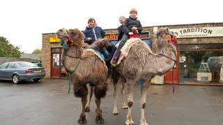 Who Needs A Car When You Have Pet Camels [upl. by Hgieleak]