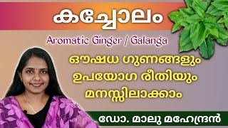 Kacholam Malayalam  കച്ചോലം ഗുണങ്ങള്  Kacholam uses in malayalam  Aromatic Ginger  kacholam [upl. by Enovaj]