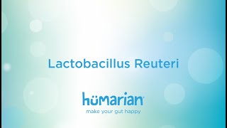 Lactobacillus Reuteri [upl. by Cerys]