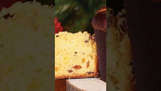 How to make Italian Panettone recipe Easy way shorts [upl. by Learsiy]