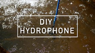 DIY Hydrophone [upl. by Lourdes]