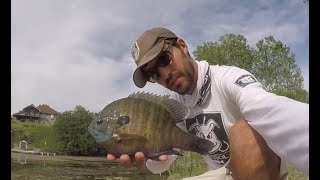 TOP 3 BIGGEST BLUEGILLS EVER CAUGHT compilation [upl. by Irik]