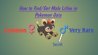 Pokemon Gaia How to Find Get Male Litleo Easiest way [upl. by Adnohsor]