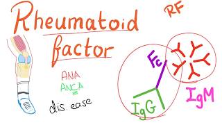 Rheumatoid Factor RF  Rheumatoid Arthritis RA  Joint disease Rheumatology series [upl. by Hyacinth]