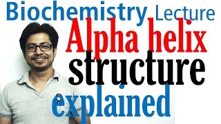 Alpha helix  Secondary structure of proteins [upl. by Ollayos639]