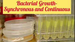 Microbiology Notes  Bacterial Growth Synchronous Continuous Chemostat and Turbidostat Growth [upl. by Twyla]