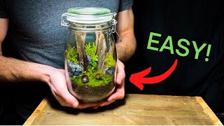 DIY Jar Terrarium A Beginners Guide [upl. by Magen]