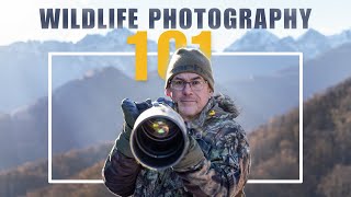 TOP TIPS to get into WILDLIFE PHOTOGRAPHY Learn from a professional [upl. by Ardel74]