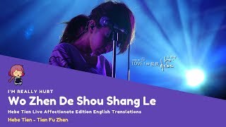 ENG SUB Wo Zhen de Shou Shang Le Im Really Hurt  Hebe Tien [upl. by Girardi]