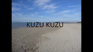 Kuzu KuzuTarkan Lyrics [upl. by Marela]