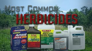 Five Most Common Food Plot Herbicides [upl. by Anauq]