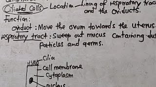 Ciliated Cells  Location Function and Adaptations  Well Explained  Harrison J Zulu Tutor [upl. by Redmund853]