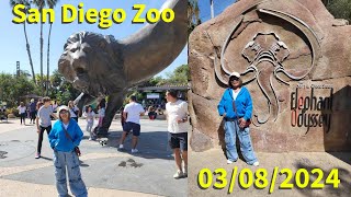 San Diego Zoo 030924 [upl. by Mapel]