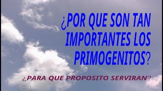 ¿POR QUE LAS PRIMICIAS HUMANAS Y ANIMALES SON TAN IMPORTANTES DENTRO DEL PUEBLO ESCOGIDO DE YAH [upl. by Naziaf]