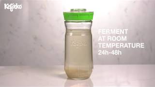 HOW TO MAKE WATER KEFIR WITH KEFIRKO KEFIR MAKER [upl. by Maples]