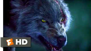 Top 13 Best WEREWOLF Movies Of All Time [upl. by Aleahs638]