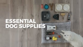 27 Items Every Dog Owner Should Have  ESSENTIAL SUPPLIES [upl. by Ylac]