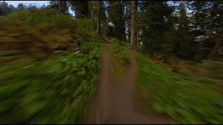 MORGINS LAPS [upl. by Ardekan]