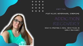 Addiction Recovery  Post Acute Withdrawal Syndrome Part TWO [upl. by Monika223]