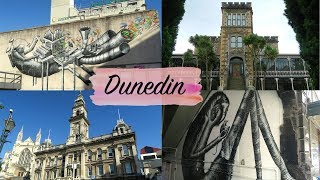 NEUSEELAND VLOG 12  Street Art in Dunedin [upl. by Tallbott313]