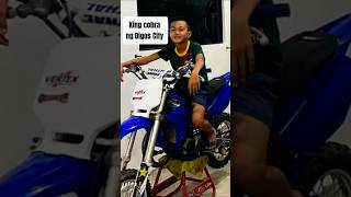 😢King cobra💔 Bagong 65cc Motor bike bagong design bonga hangaan niyo pa ba kahit wala na siya [upl. by Avir]