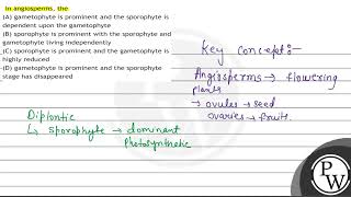 In angiosperms the A gametophyte is prominent and the sporophyte is dependent upon the gameto [upl. by Raamaj937]